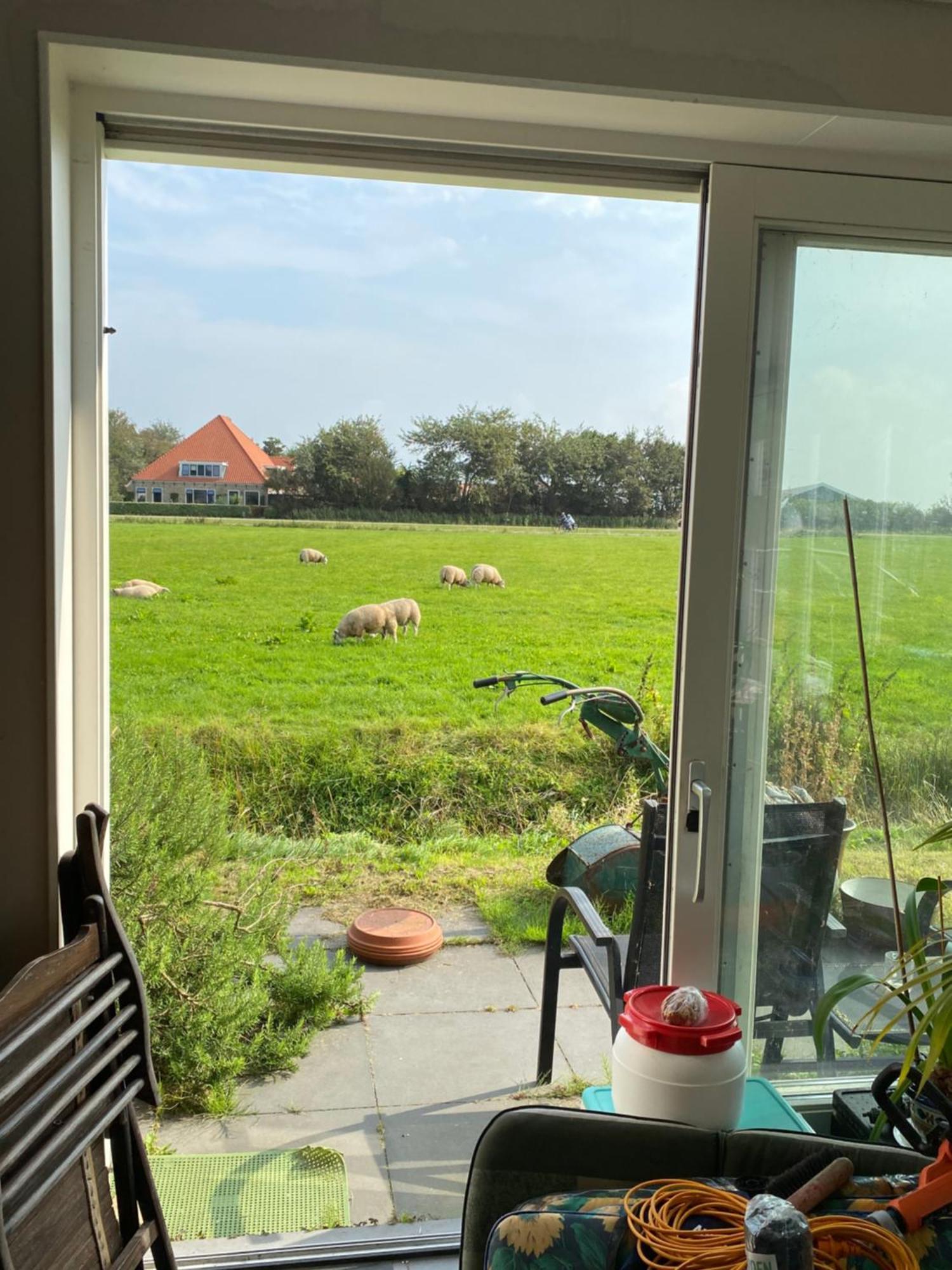 Oomes Huus Haestens And Koffie Den Hoorn  Exterior foto