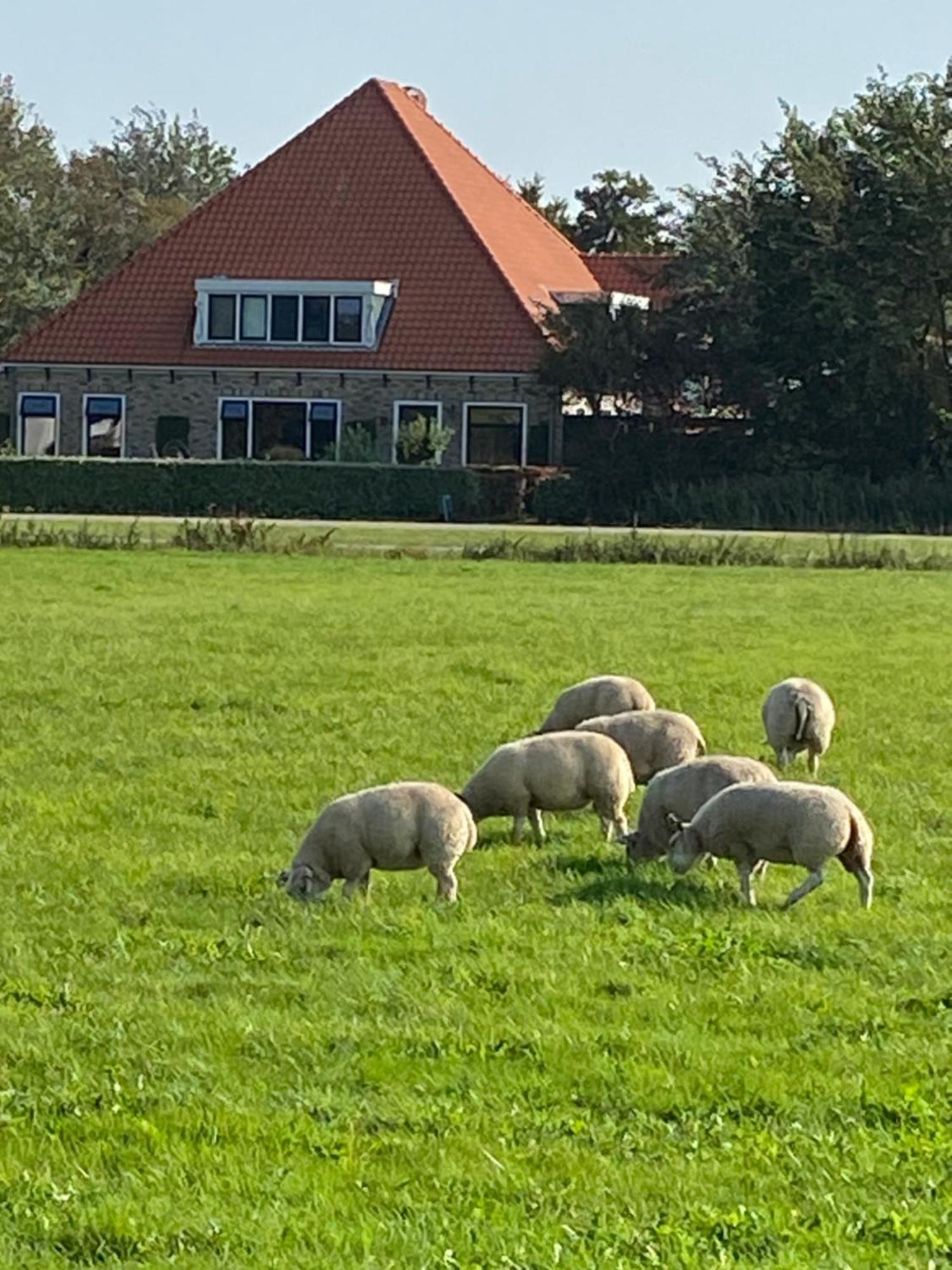 Oomes Huus Haestens And Koffie Den Hoorn  Exterior foto