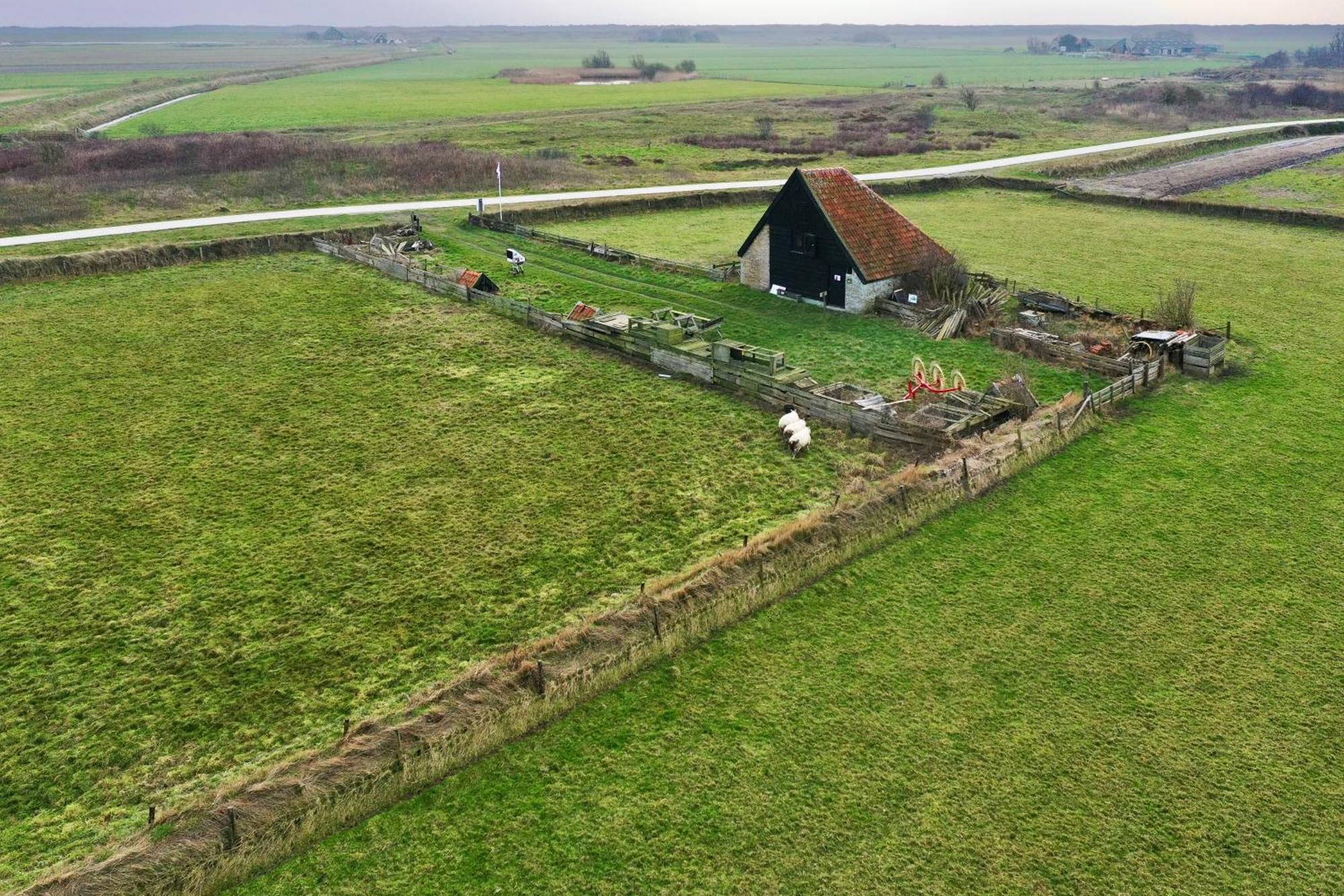 Oomes Huus Haestens And Koffie Den Hoorn  Exterior foto