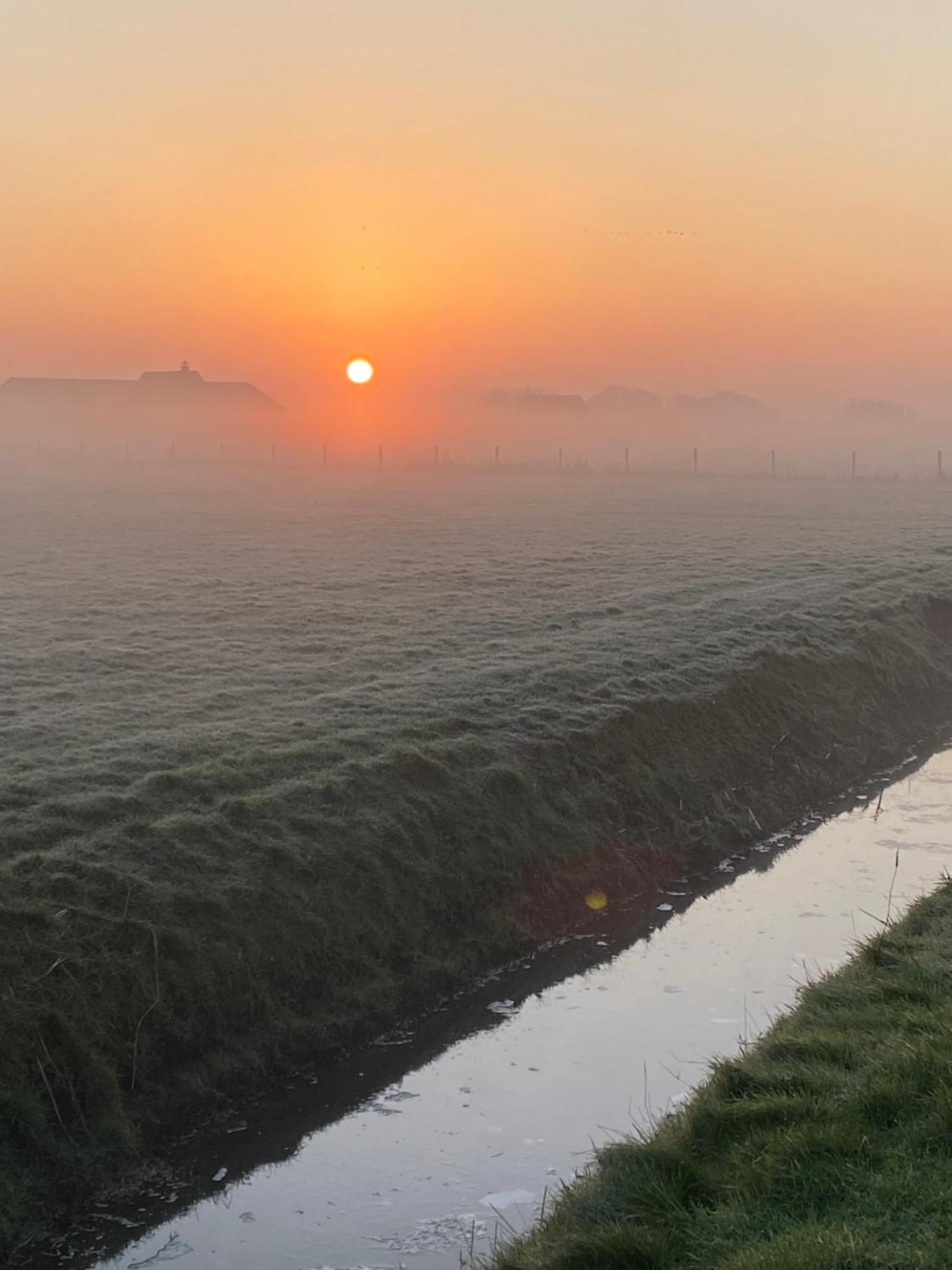 Oomes Huus Haestens And Koffie Den Hoorn  Exterior foto